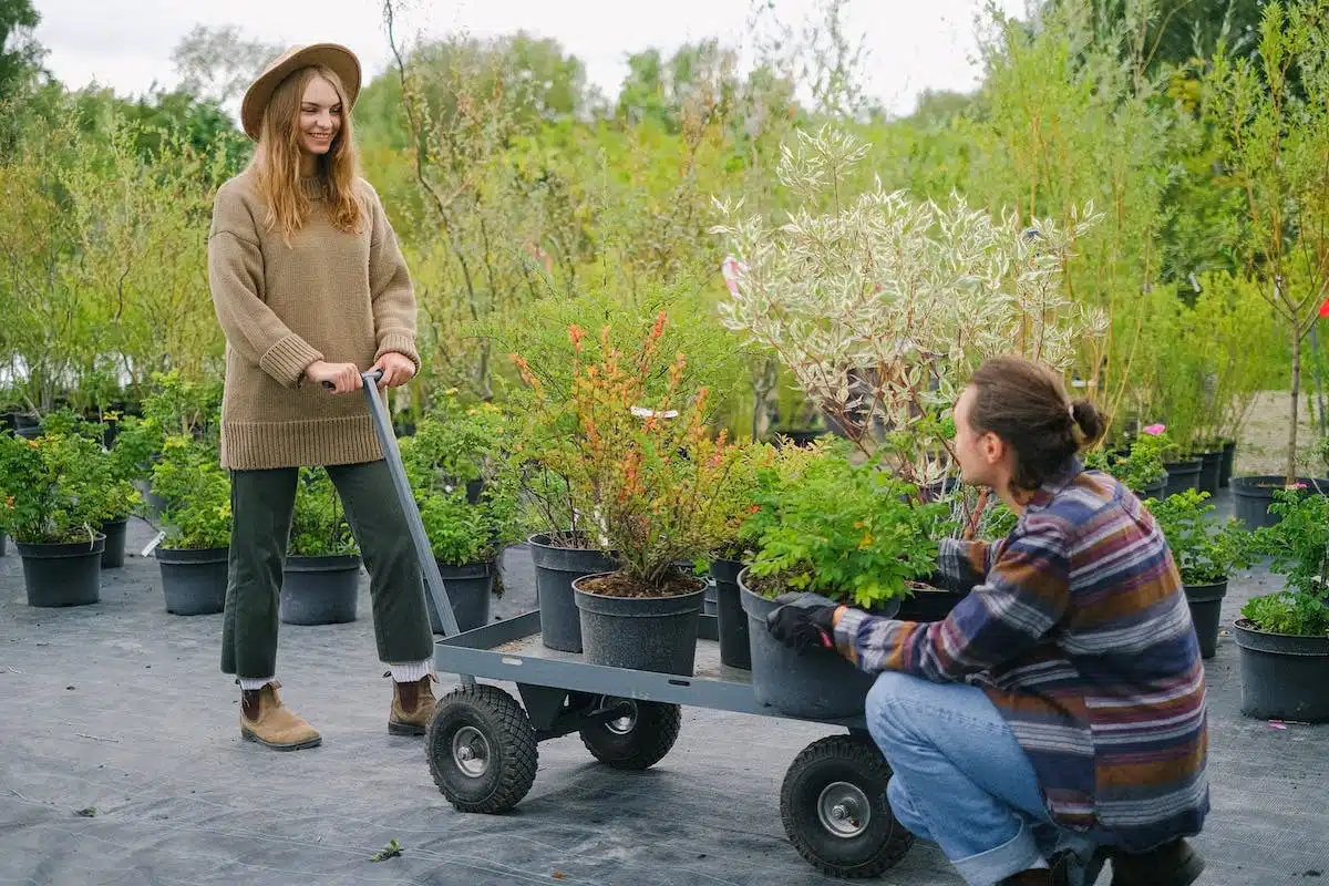 Recyclage innovant des déchets verts au jardin : nouveautés pour les seniors éco-responsables