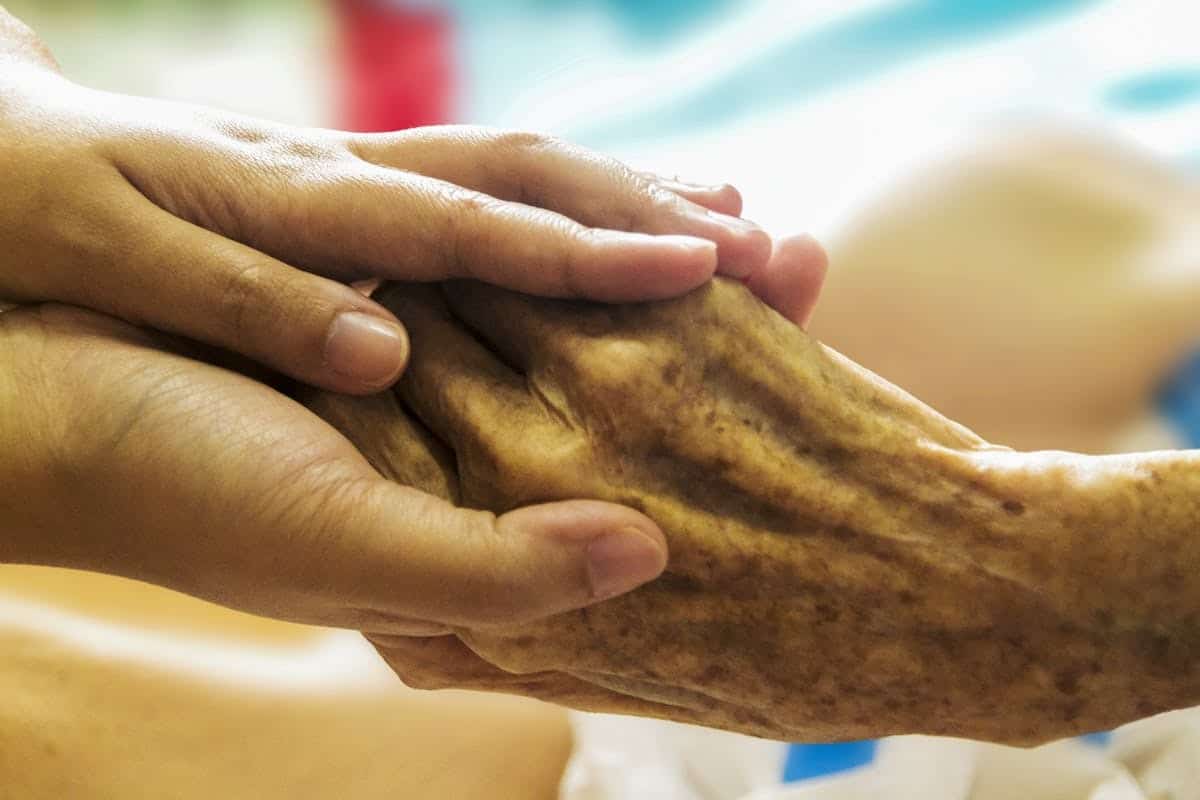 seniors  génétique