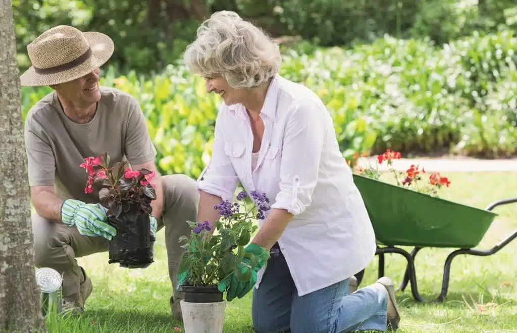 Conseils aux seniors pour bien choisir leur service de jardinage à domicile