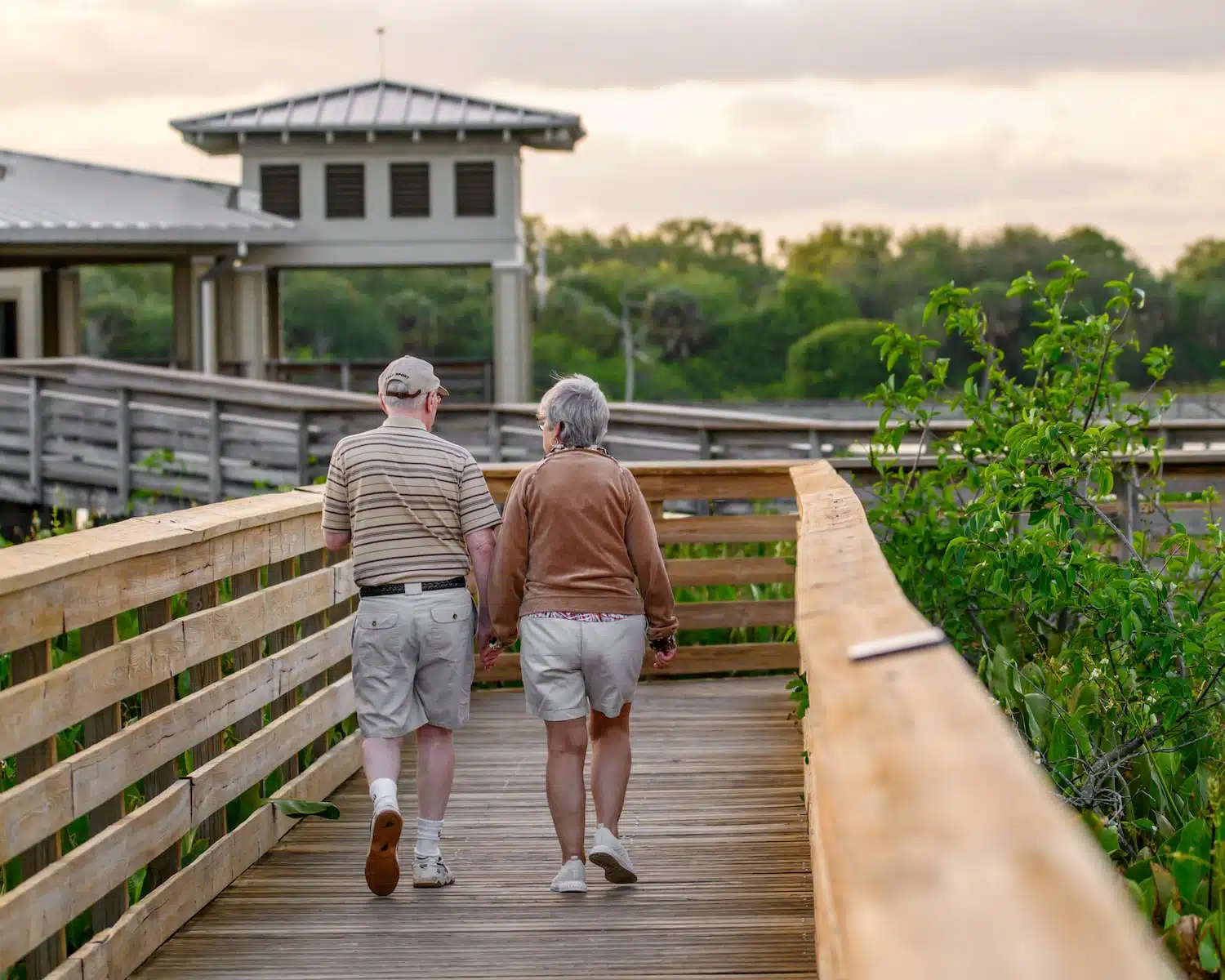 Les risques et les symptômes de la démence et de la maladie d’Alzheimer chez les seniors